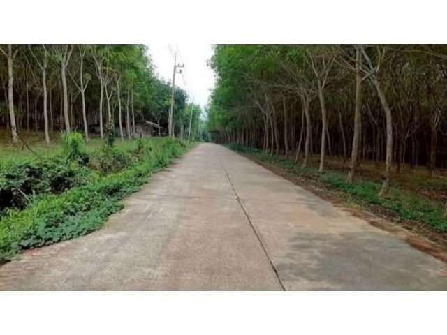 ขายที่ดินใกล้นิคมหลักชัย เมืองระยอง 155-1-83 ไร่ ผังสีม่วงลาย เหมาะทำนิคมอุตสาหกรรม โรงงาน โกดังสินค้า