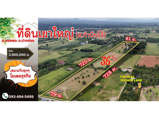 #ที่ดินเขาใหญ่ ซอย.กำนันโจ้ 36 ไร่. (ติด.เดอะ พีค ฟลาวเวอร์ แลนด์)