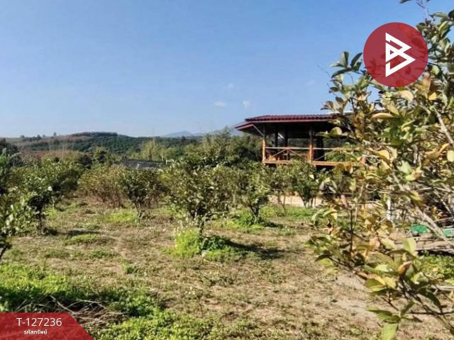 ขายที่ดินพร้อมสิ่งปลูกสร้างและสวนผลไม้ เนื้อที่ 9 ไร่ 2 งาน 77 ตร.วา พร้าว เชียงใหม่