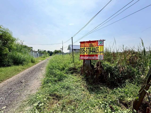 Vายถูก️ที่ดินตลิ่งชัน 124 ตารางวาทำเลดี มีอนาคตซอย ศาลาธรรมสพน์ 43 เขตตลิ่งชัน กรุงเทพมหานคร095-879-4465