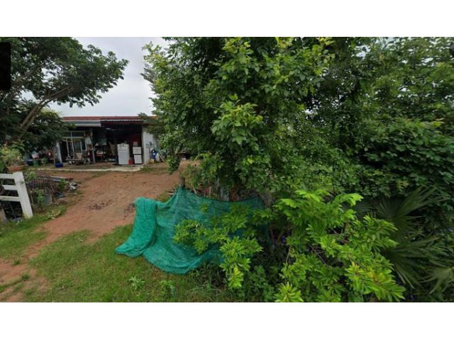 ขายที่ดิน พร้อมสิ่งปลูกสร้าง ขนาด 250 ตร.วา อ.ประทาย จ.นครราชสีมา