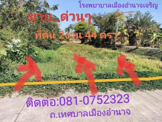 ขายด่วนๆ ที่ดินในเมืองอำนาจเจริญ ใกล้โรงพยาบาลเมืองอำนาจเจริญ