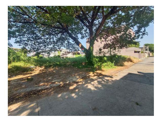 ขายที่ดิน 99 ตารางวา ซอยนาคนิวาส 37 แยก 2 ลาดพร้าว