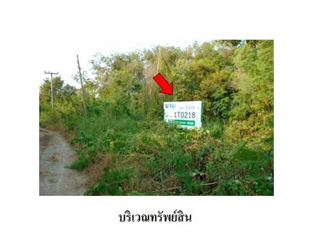 ขายที่ดินว่างเปล่าโครงการ บางไทรการ์เด้น บางไทร อยุธยา