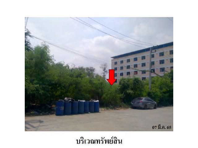 ขายที่ดินว่างเปล่า ถ.สายบางปะอิน-อุทัย ต.สามเรือนอ.บางปะอิน อยุธย