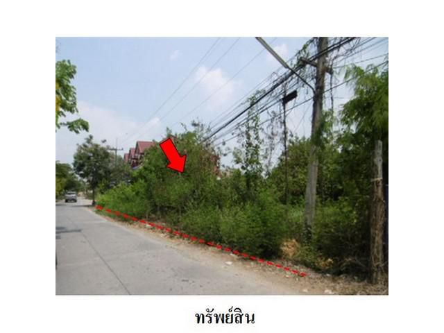 ขายที่ดินว่างเปล่า ถนน เลียบคลองซอยที่ 6 อ.วังน้อย อยุธยา
