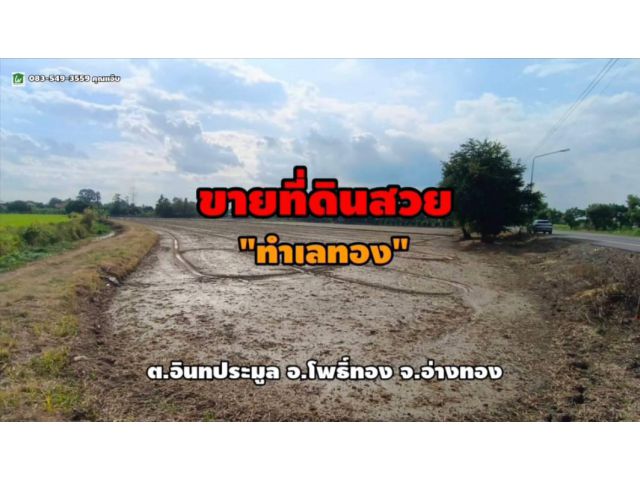 ขายที่ดิน ใกล้ตลาดอ่างทอง 5 ไร่ ถ.สายลำท่าแดง ต.อินทประมูล อ.โพธิ์ทอง จ.อ่างทอง