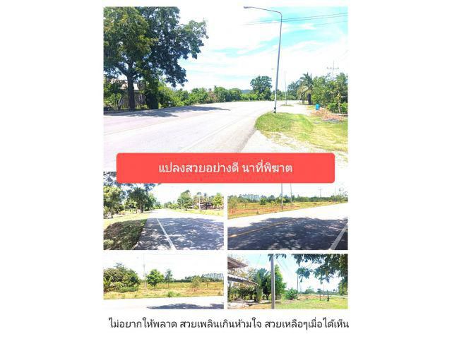 อยากบอกว่าท่าม่วงในดวงใจแปลงนี้ดีแน่ แปลงที่สุดชอบคือตอบอันประเสริฐไม่เชื่อไปดูสิสมราคาจริงๆสำหรับ F.C.land แฟนพันธ์แท้