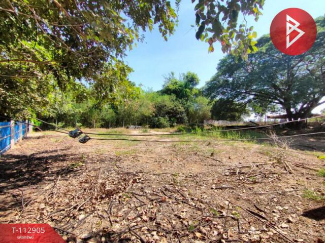 ขายที่ดิน เนื้อที่ 3 งาน 34 ตร.วา กงไกรลาศ สุโขทัย