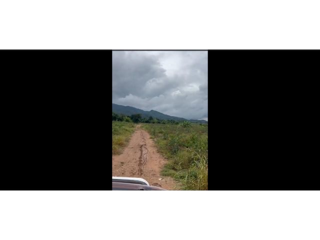 ขายด่วนที่ดินสวย ขนาด 13-1-19.5 ไร่ ต.พิชัย อ.เมือง จ.ลำปาง ด้านหลังติดลำห้วยสาธารณะ