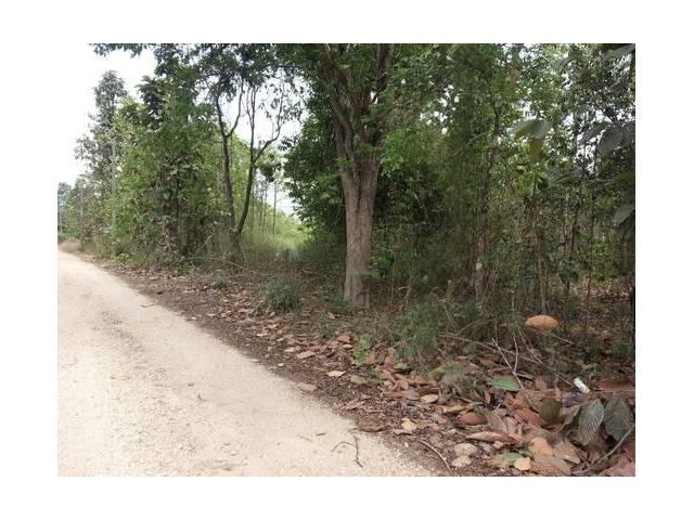 ขายด่วนที่ใกล้ ม.ธรรมศาสตร์ศูนย์ลำปาง ขนาด 152 ตารางวา ต.ปงยางคก อ.ห้างฉัตร จ.ลำปาง