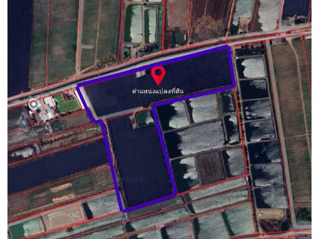 ขายที่ดิน อ.บางเลน นครปฐม 45ไร่ 1 งาน 176 ตร.ว