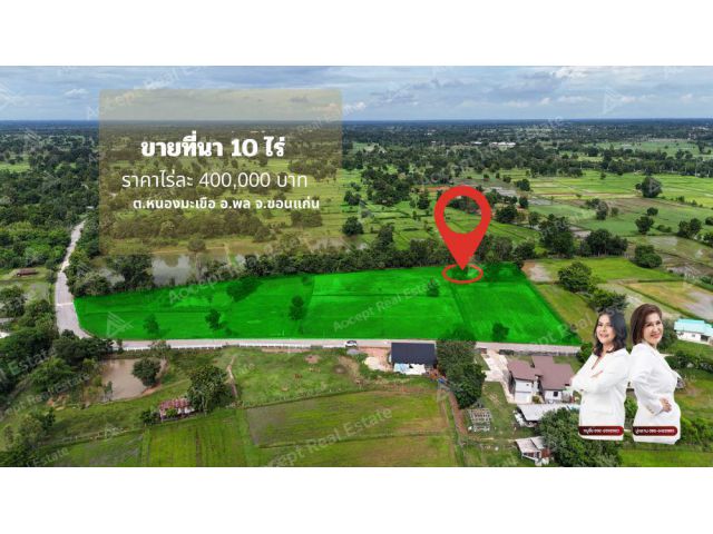 ขายด่วนที่นาแปลงสวย ทำเลดี เมืองพล ชอนแก่น พื้นที่ 10 ไร่
