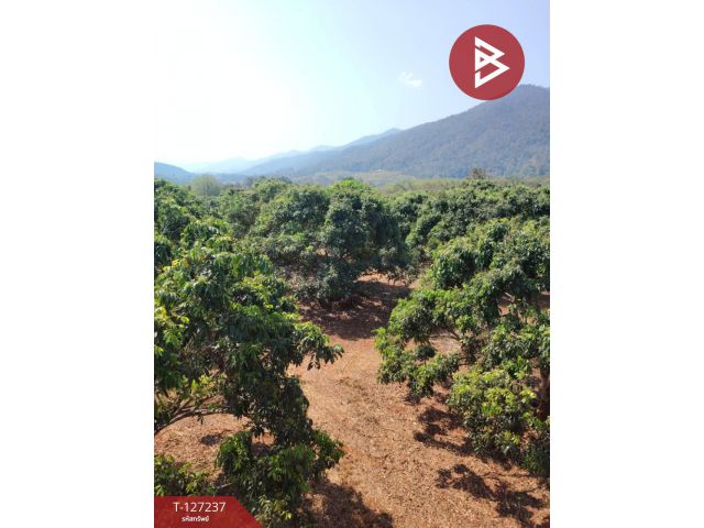 ขายที่ดิน เนื้อที่ 9 ไร่ 2 งาน 44 ตร.วา พร้าว เชียงใหม่