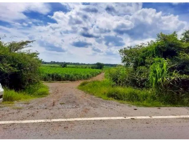 R68-084ขาย​ที่ดิน​ติดถนนลาดยางไฟฟ้าสามเฟส ต.ศิลาทิพย์ อ.ชัยบาดาล จ.ลพบุรี เนื้อที่​ 70​ ไร่ขายไร่​ละ​ 230,000 บาทโอน​ฟรี - ที่ดิน​พื้นที่​สีม่วง -