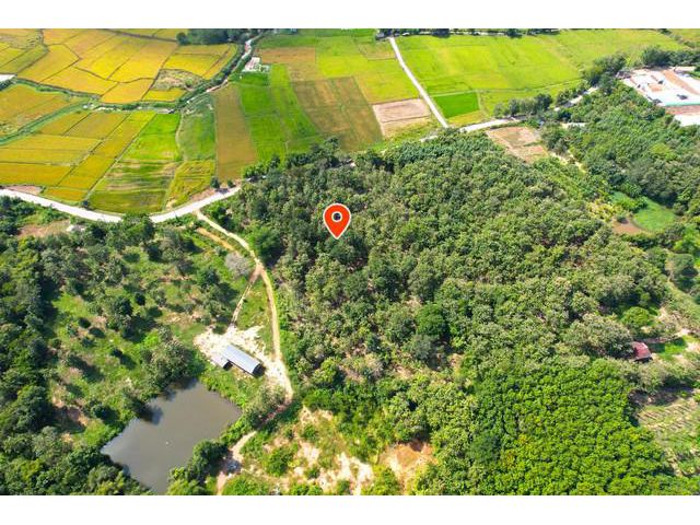 ขายที่ดินสวนสักแปลงสวย ติดธรรมชาติ ใกล้เมืองน่าน