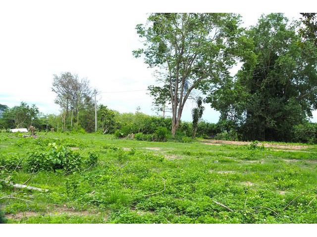 ขายที่ดินเปล่า ใกล้เมืองน่าน โซนเมืองจัง