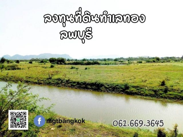ขายที่ดินสวย หรือร่วมลงทุน ทำเลดี เมืองลพบุรี 95ไร่
