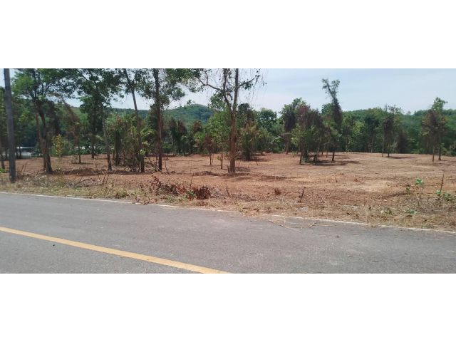 ขายที่ดิน 11 ไร่ ใกล้ทะเล ต.คลองเคียน อ.ตะกั่วทุ่ง จ.พังงา