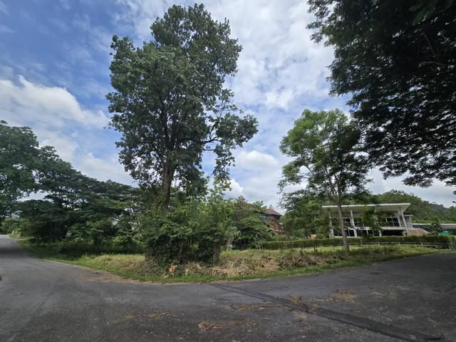 ขายที่ดินเปล่า หมู่บ้านภูภัทรา ปากช่อง เขาใหญ่ ติดถนน 2 ด้าน แปลง