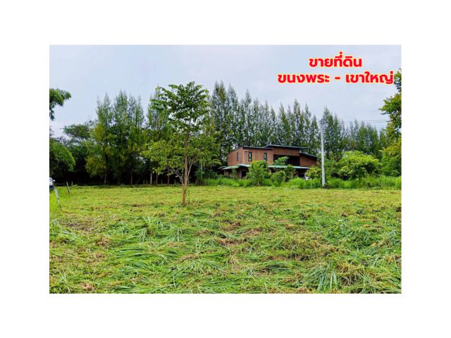 ขายที่ดินแปลงสวย 2 แปลง เริ่มต้น 300 ตร.ว. พร้อมโฉนด นส.4 โซนขนงพระ -​ ปากช่อง เขาใหญ่ ใกล้มอเตอร์เวย์ M6