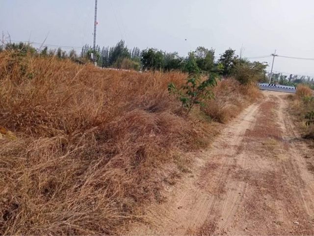 L1065 ขายที่ดินสวยทำเลดี 4 ไร่ เมืองราชบุรี