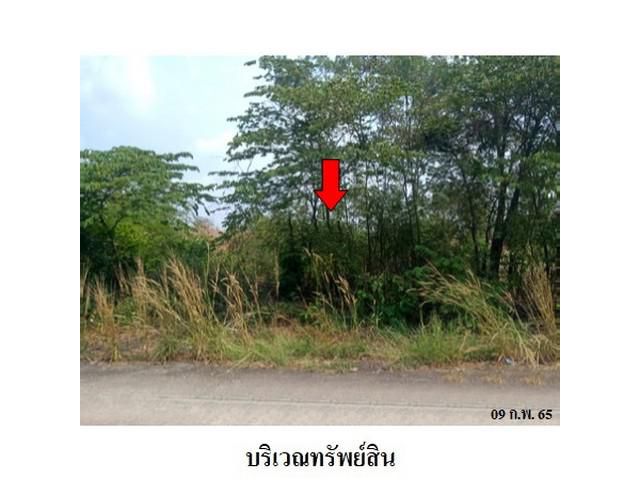 ขายที่ดินว่างเปล่า โครงการ บางไทรเวลเนสโฮม  พระนครศรีอยุธยา