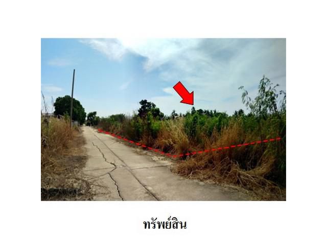 ขายที่ดินว่างเปล่า โครงการ บ้านส่องแสง อยุธยา