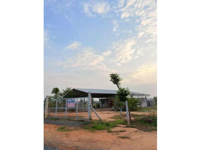 ขายที่ดินใกล้ม.มหิดล นครสวรรค์(ต.เขาทอง)