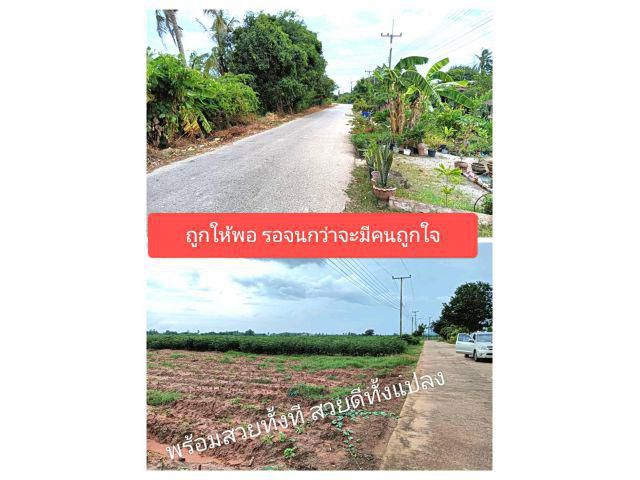 อยากจะให้ทุกความคุ้มค่ามากกว่าคำกล่าวอ้าง กล้าดียังงัยถึงได้ขายในราคานี้ต้องมีดีแน่นอน กล้าเสนอเพื่อที่จะตอบสนอง