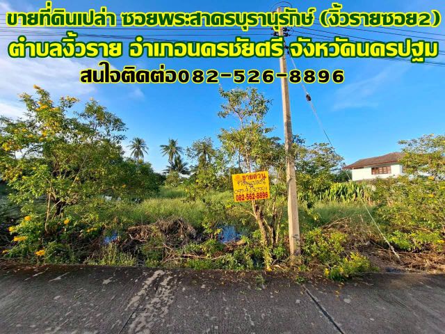 ขายที่ดินเปล่า ซอยพระสาครบุรานุรักษ์ (งิ้วรายซอย2)