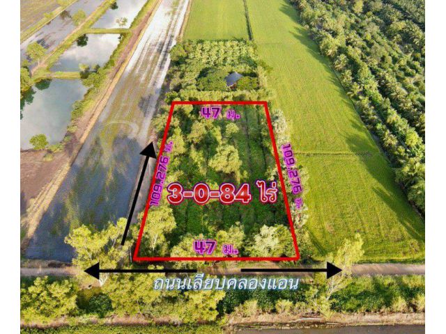 ข️ายที่ดินบึงกาสาม 3 ไร่ คลอง11 ใกล้ถนนเส้น5021-9.5กม. อ.หนองเสือ ปทุมธานี