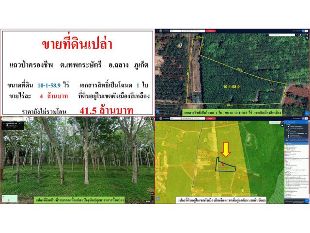 ขายที่ดินเปล่า ขนาด 10-1-58.9 ไร่  แถวป่าครองชีพ  ต.เทพกระษัตรี  อ.ถลาง  ภูเก็ต