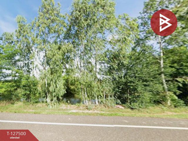 ขายที่ดิน เนื้อที่ 25 ไร่ 1 งาน 62 ตร.วา พิมาย นครราชสีมา