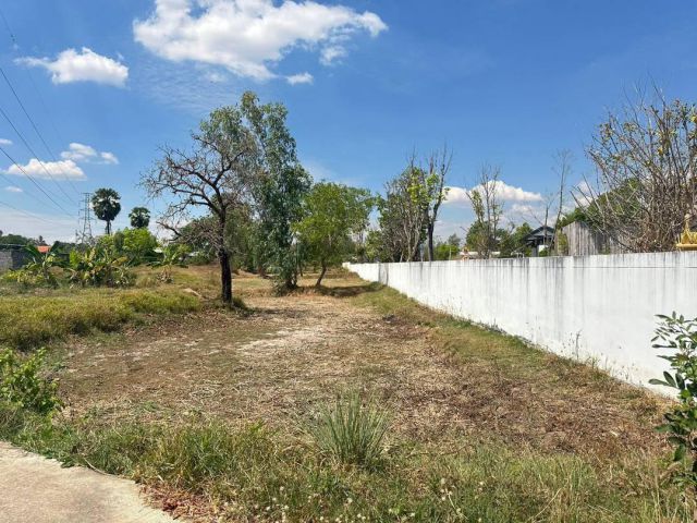 ขายที่ดิน ในซอยสกุลเงิน-ขามใหญ่  จ.อุบลฯ