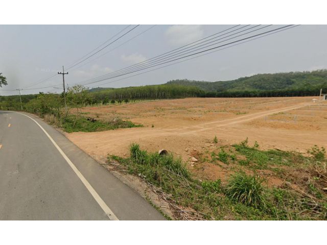 ขายสวนทุเรียน 41 ไร่ ติดถนนลาดยาง ต.กะเฉด อ.เมือง จ.ระยอง