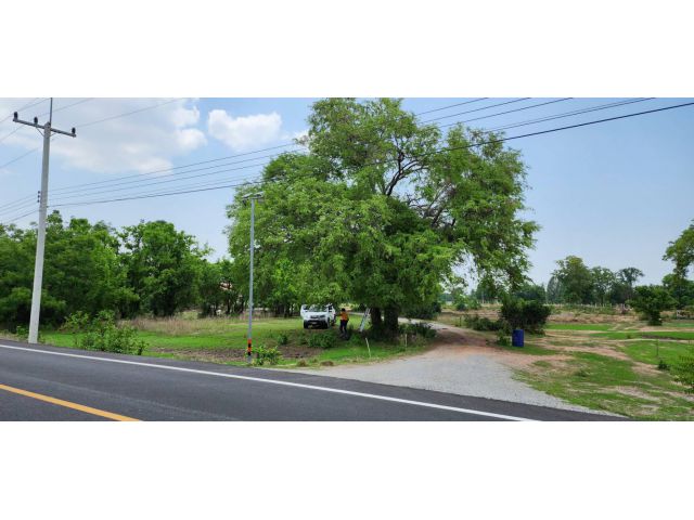 ขายที่ดิน 1 ไร่ ติดถนนลาดยาง ต.หนองสาหร่าย อ.ดอนเจดีย์ จ.สุพรรณบุรี