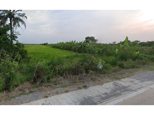 ขายที่ดิน 53 ไร่ คลองแปด ใกล้อบต.ลำลูกกา อ.ลำลูกกา จ.ปทุมธานี