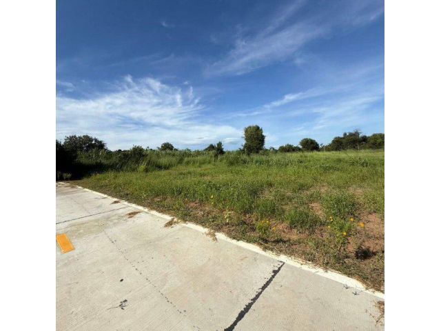 ขายที่ดินนาเริก 4 ไร่ ใกล้ถนนเส้น3246-900เมตร พนัสนิคม จ.ชลบุรี