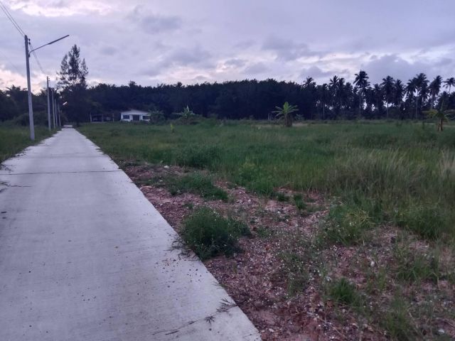 ขายที่ดินแหล่งชุมร่อนทองบางสะพาน 24 ไร่ละ 1 ล้านบาท