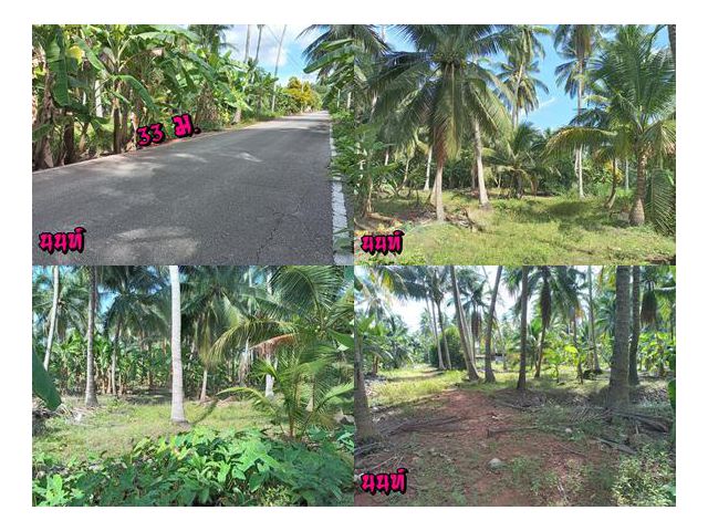 เนื้อที่ 1 ไร่ หน้าที่กว้าง 33 ม. ใกล้ รพ.นภาลัย 3 กม.