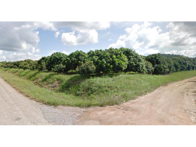 ขายที่ดิน 38 ไร่ พร้อมสวนลำไย ติดถนน 3247 ต.หนองตาคง อ.โป่งน้ำร้อน จ.จันทบุรี