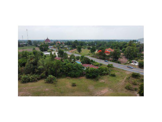 ขายที่ดิน 82 ไร่ ติดถนนหันคา–บ้านไร่ ต.สุขเดือนห้า อ.เนินขาม จ.ชัยนาท