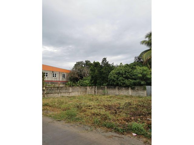 ขายที่ดินปากช่อง 100 ตรว(เจ้าของ)