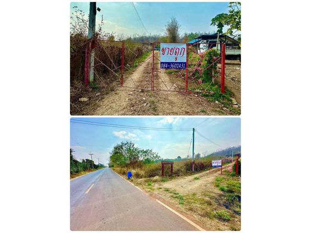 ขายด่วน บ้านสวน รีสอร์ท ปากช่อง เขาใหญ่ บ้านพักตากอากาศ สไตล์รีสอ