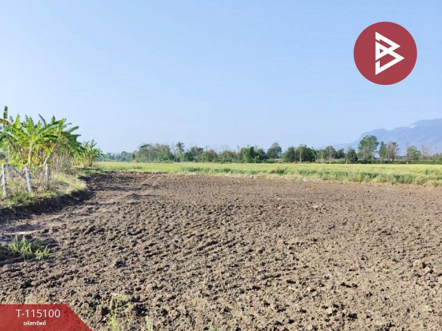 ขายที่ดิน เนื้อที่ 3 ไร่ 2 งาน 42 ตร.วา หล่มเก่า เพชรบูรณ์