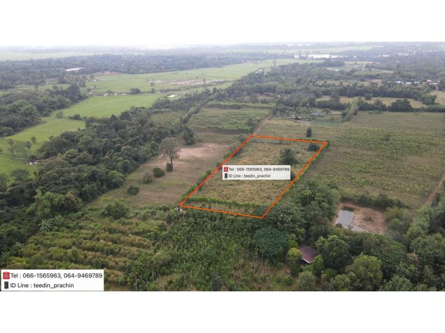 ขายที่สวน ที่ทำบ้านสวน ที่ 5 ไร่เศษ