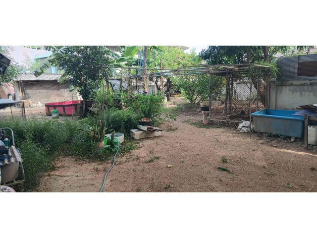 ขายที่ดินโฉนด98ตรว.ราคา1ล้านบาทข้างโรบินสันเพชรบุรีต.สมอพลืออ.บ้านลสดจ.เพชรบุรีย่านชุมชนใกล้ห้างและคอนโด