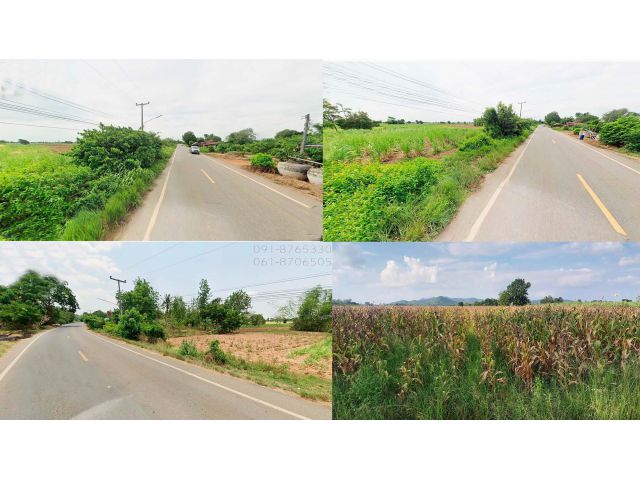 ขายที่ดิน 28ไร่กว่า ชัยนาท ติดถนนลาดยาง ในชุชมชน มีน้ำไฟ เห็นวิวเขาสวย ขายถูกราคาถูก