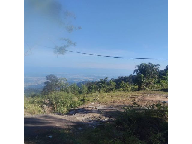 ด่วนที่สุด ขายที่ดินติดทางขึ้นภูทับเบิก วิวสวยมาก จำนวน 100 ไร่